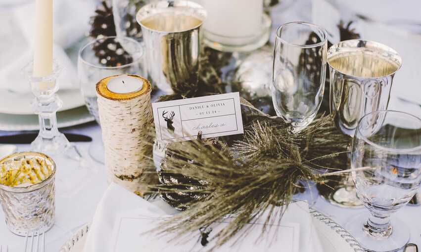 Winter Wonderland party themed inspiration and ideas