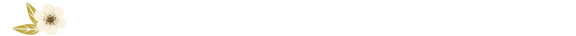 Bottom Theme Image