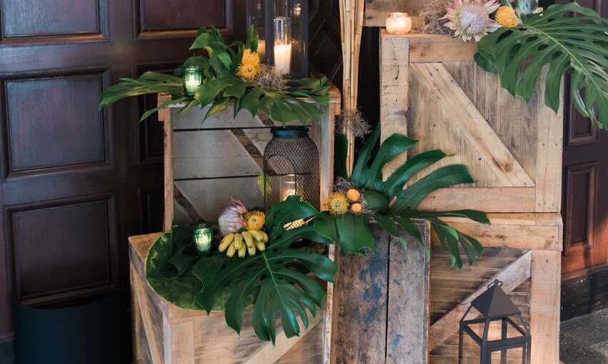 Jungle party themed inspiration and ideas